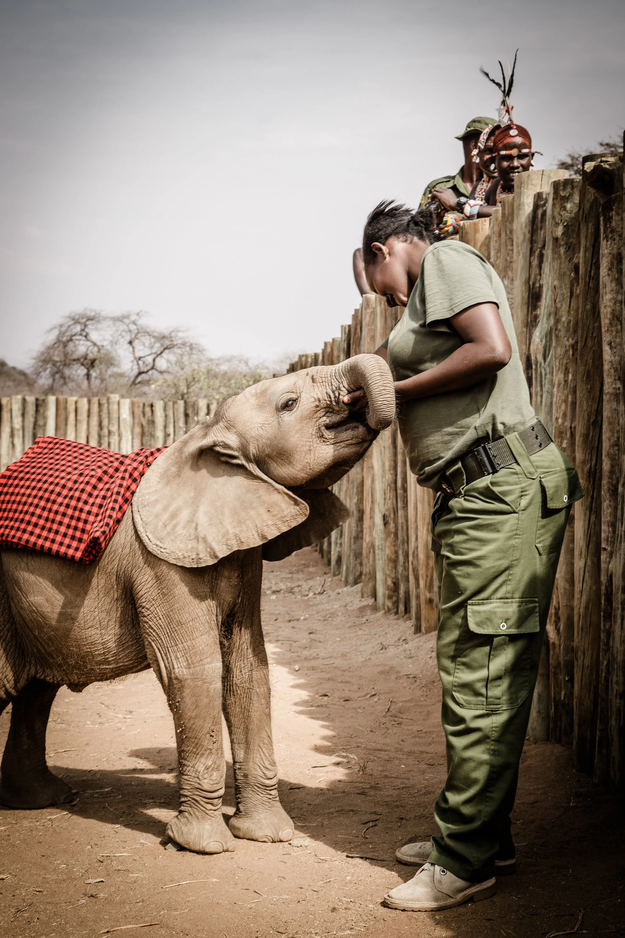 Saruni-Basecamp-Saruni-Samburu-Activities-Reteti-Elephant-Sanctuary-Northen-Kenya-29.jpg