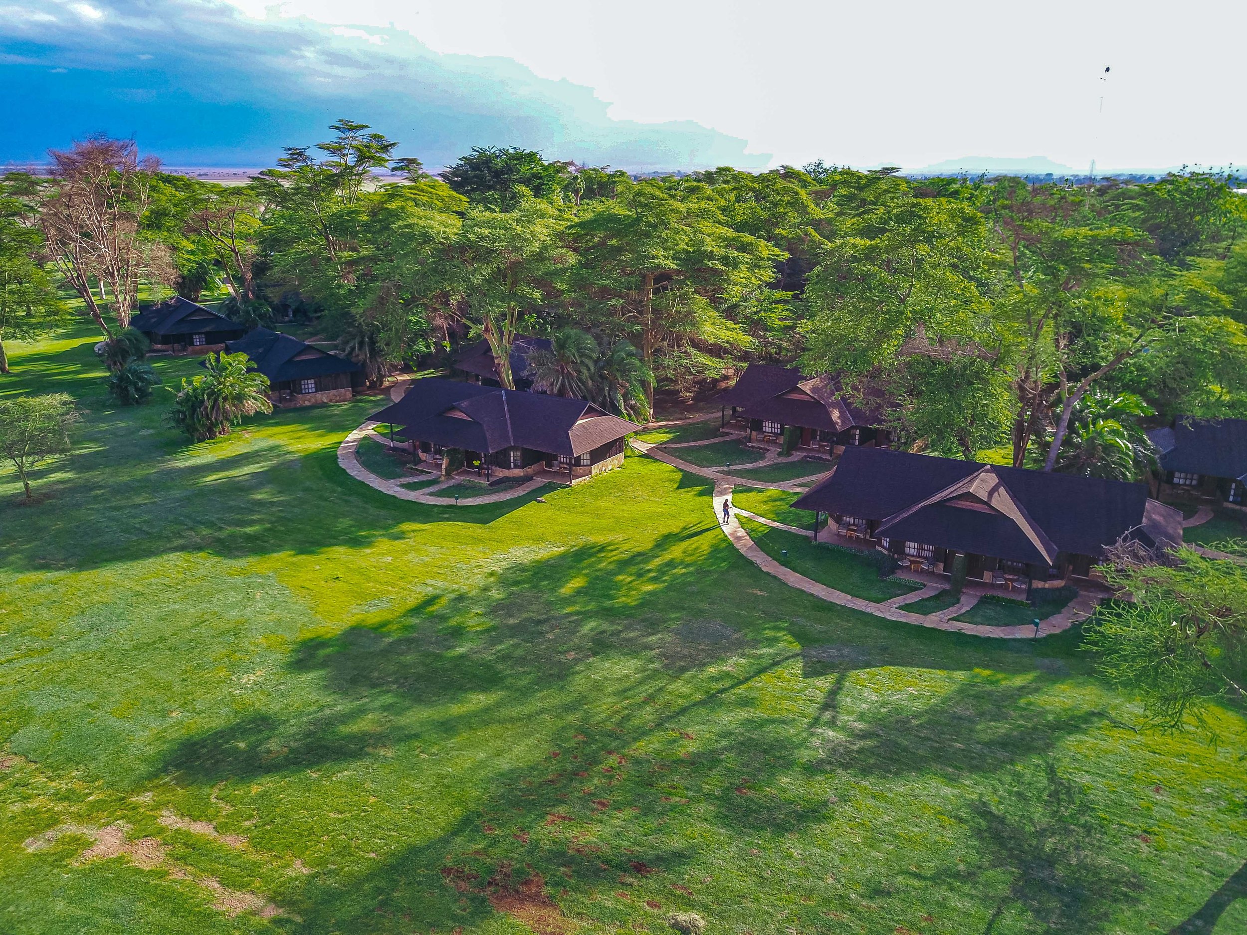 Aerial view of several dark-roofed cottages in a lush green park with trees and pathways.