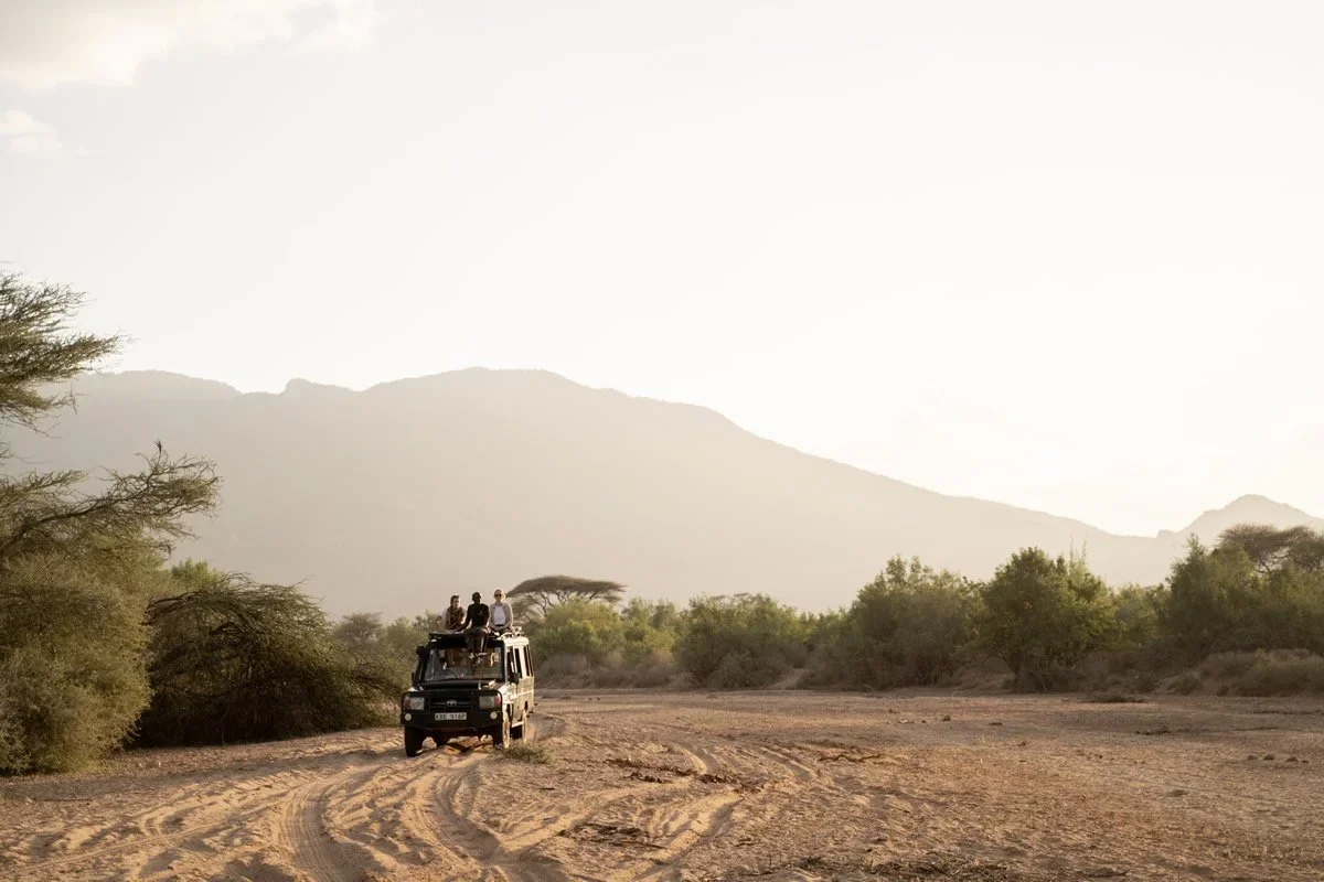 Simon+Pocock_+Sarara-FlyCamping.webp