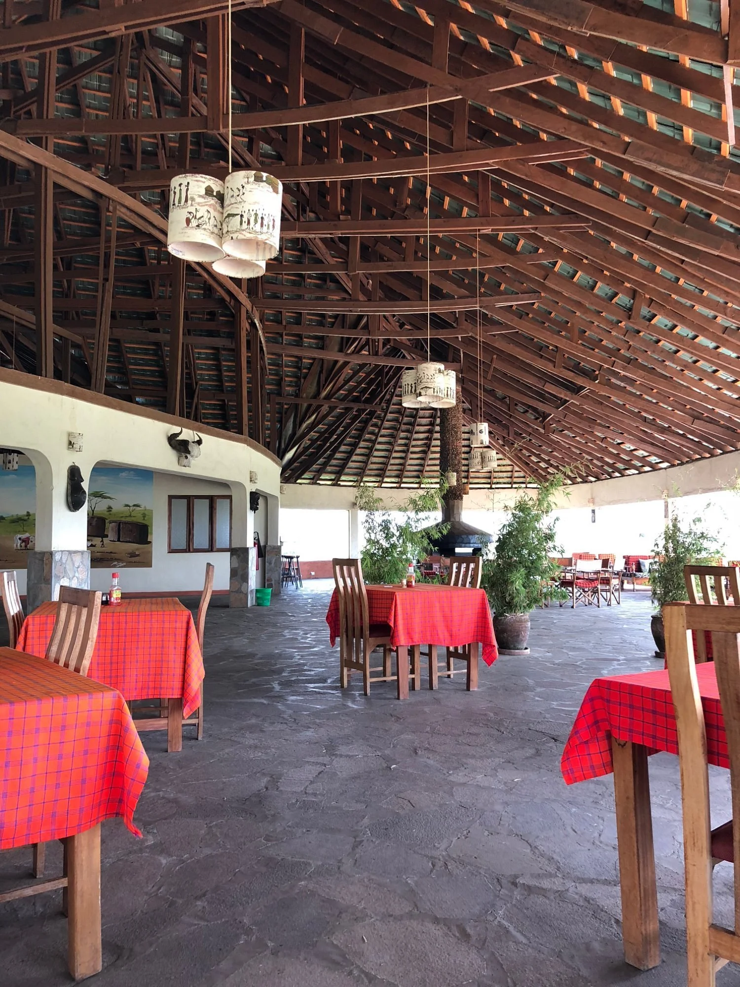 simba-oryx-nature-camp (1).jpg