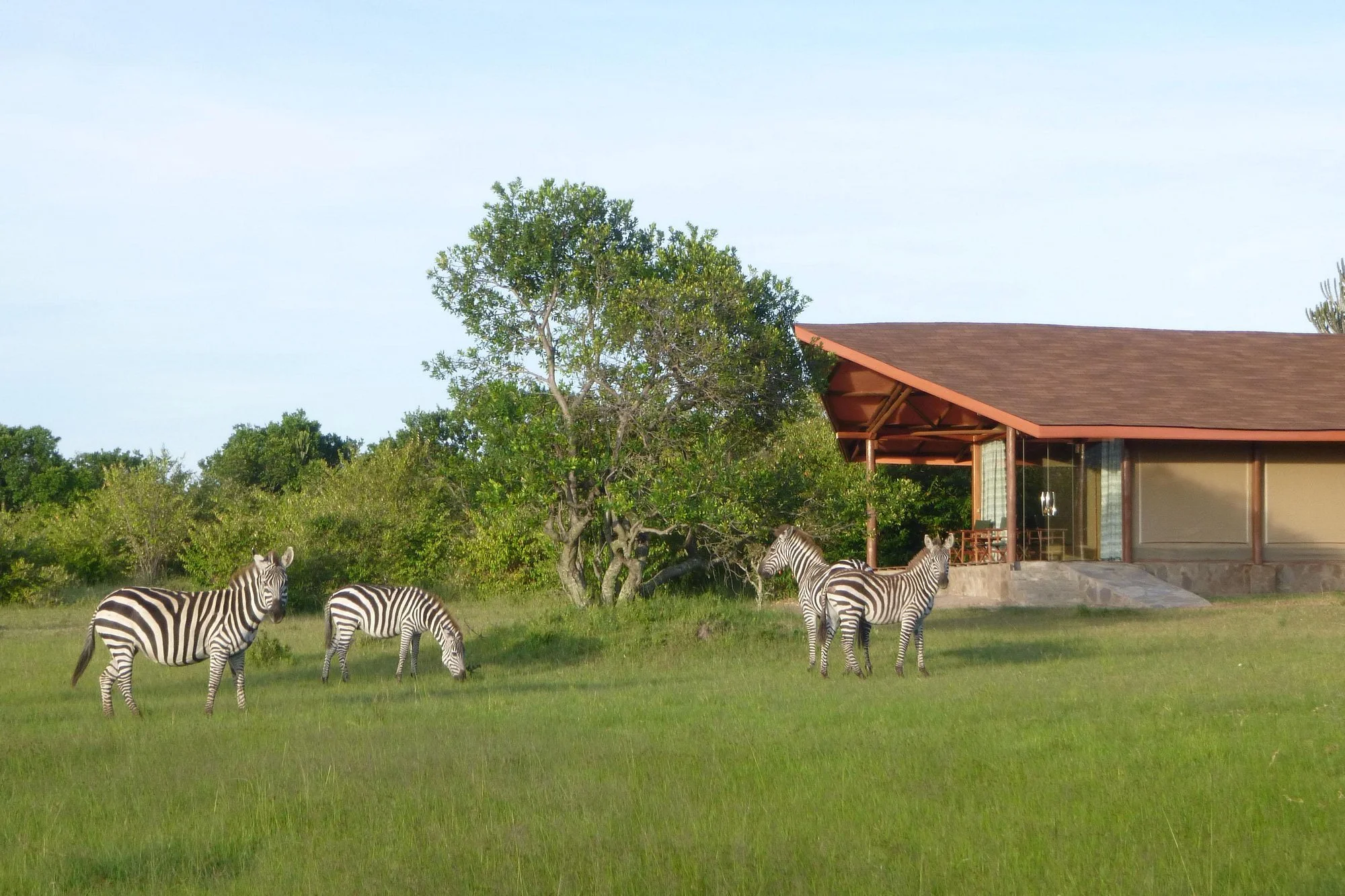 wildlife-at-your-doorstep.jpg