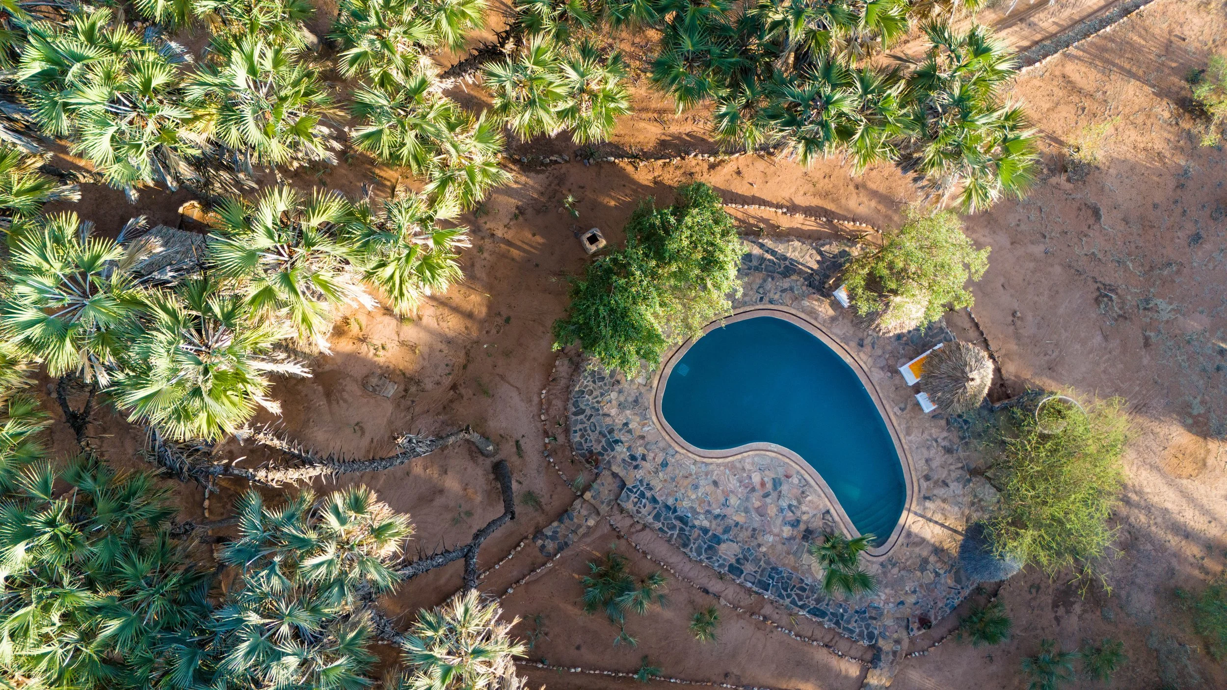 Saruni-Basecamp-Saruni-Rhino-Swimming-Pool-01.jpg