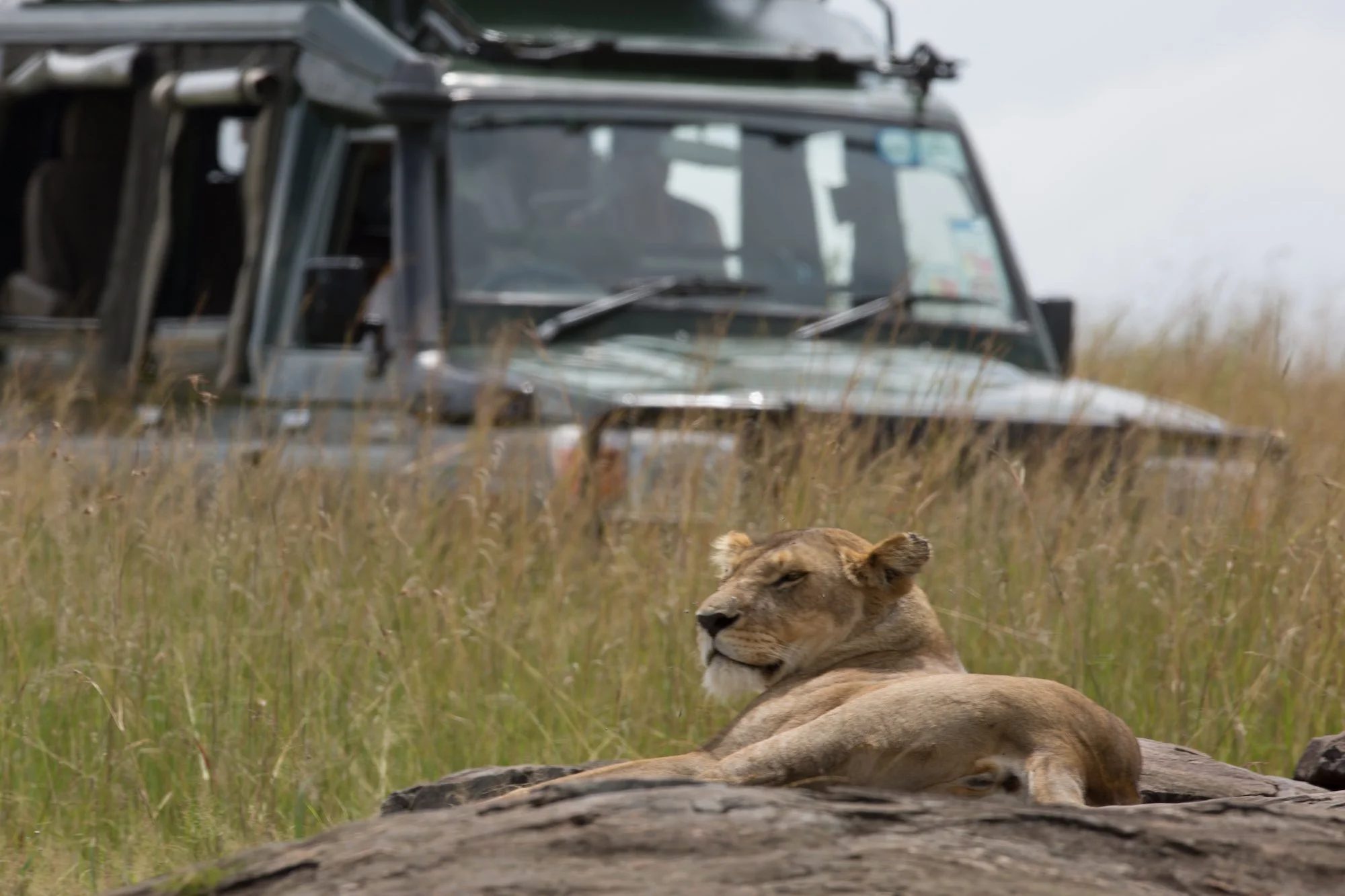 Elewana Sand River - Game Drive (c) Silverless.jpg