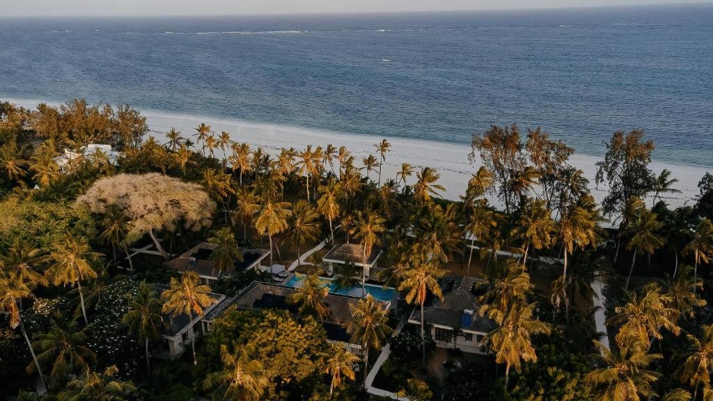 Aerial view of a resort with numerous palm trees along the beach, pool, and buildings surrounded by lush greenery.