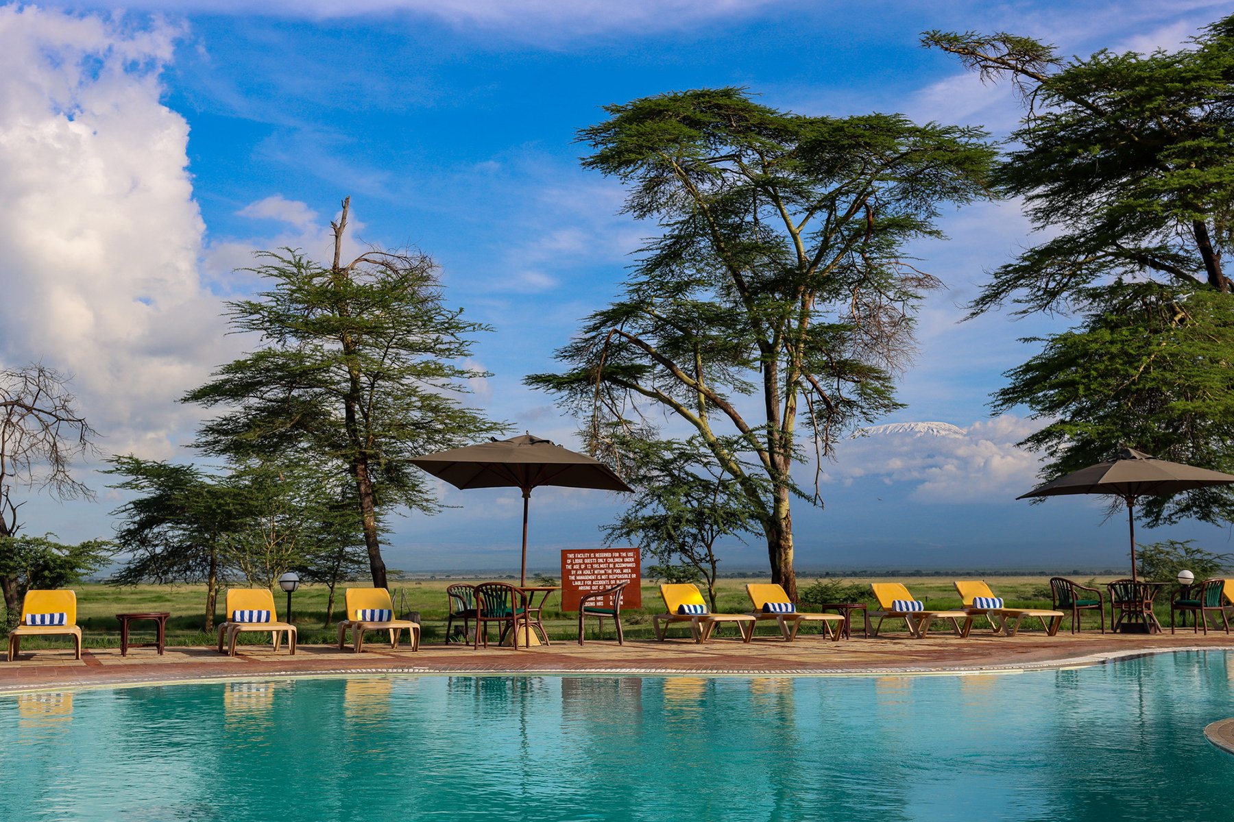 Luxury swimming pool with yellow lounge chairs and umbrellas, green trees, open field, and a view of Mount Kilimanjaro under a blue sky