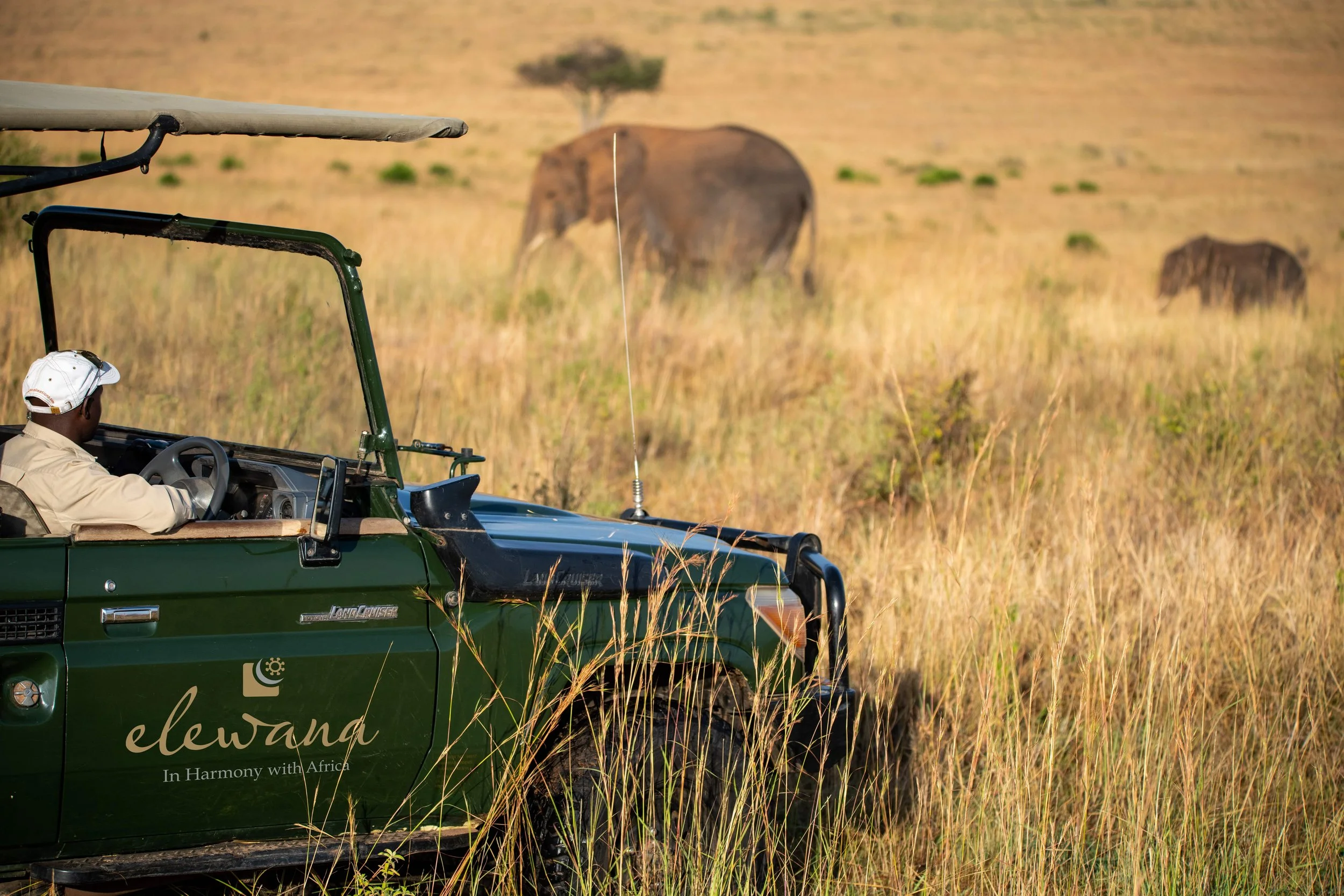 Elewana Sand River Game Drive.jpg