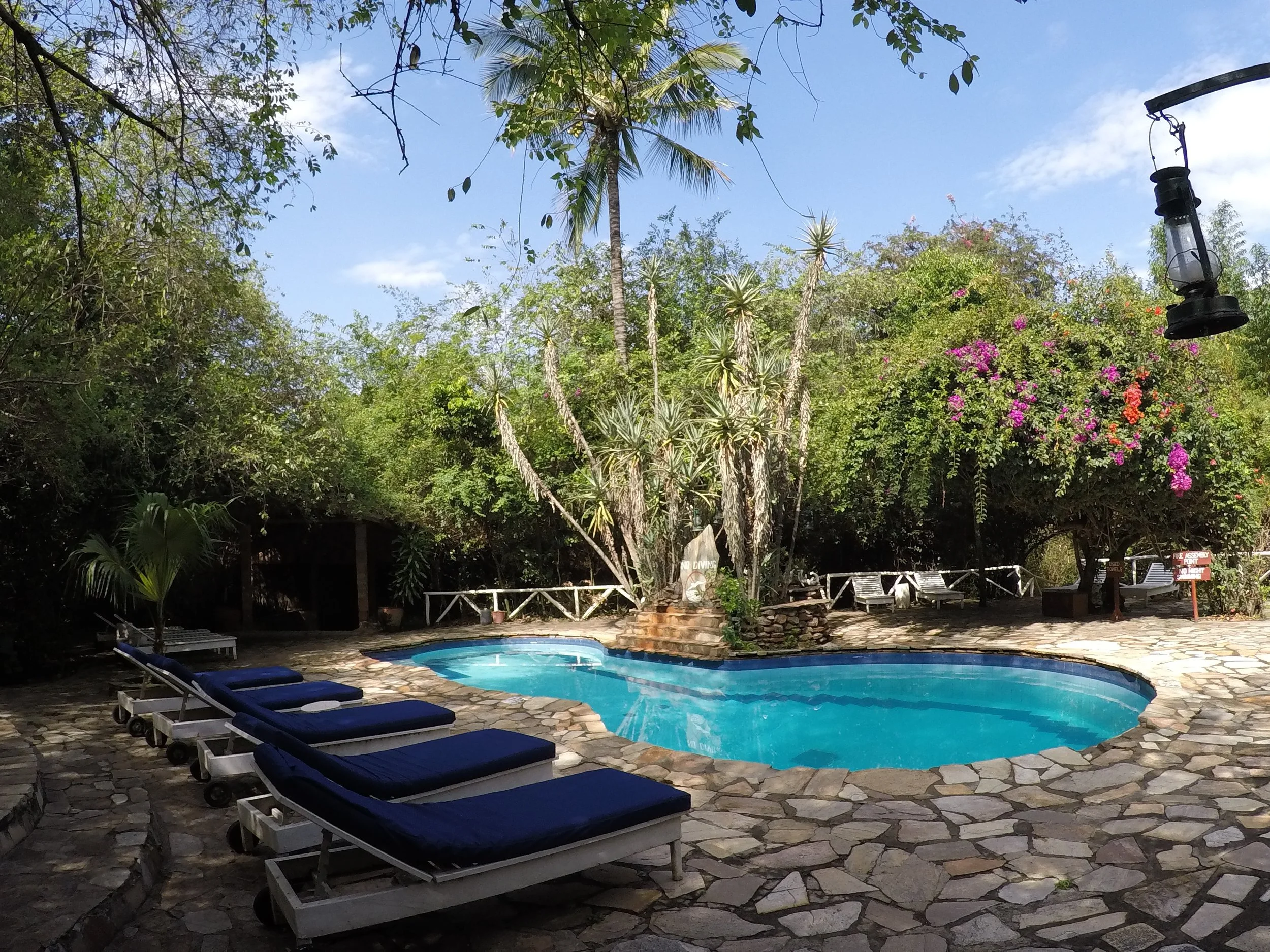 Fig Tree Camp-Masai Mara - 13.JPG