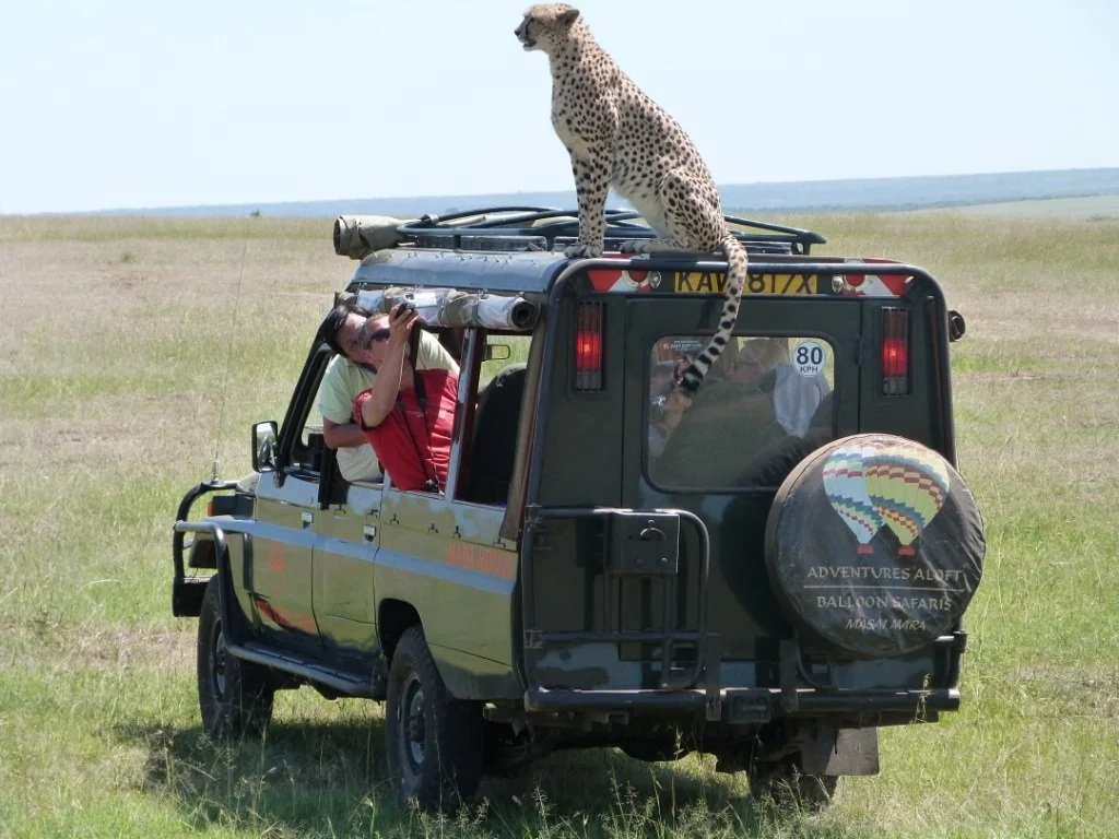 Fig Tree Camp-Masai Mara - 15.JPG