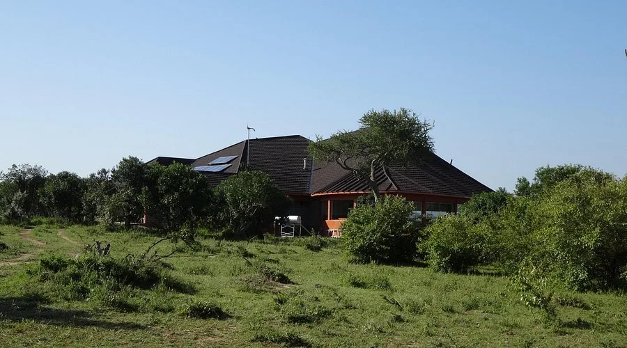 simba-oryx-nature-camp.jpg