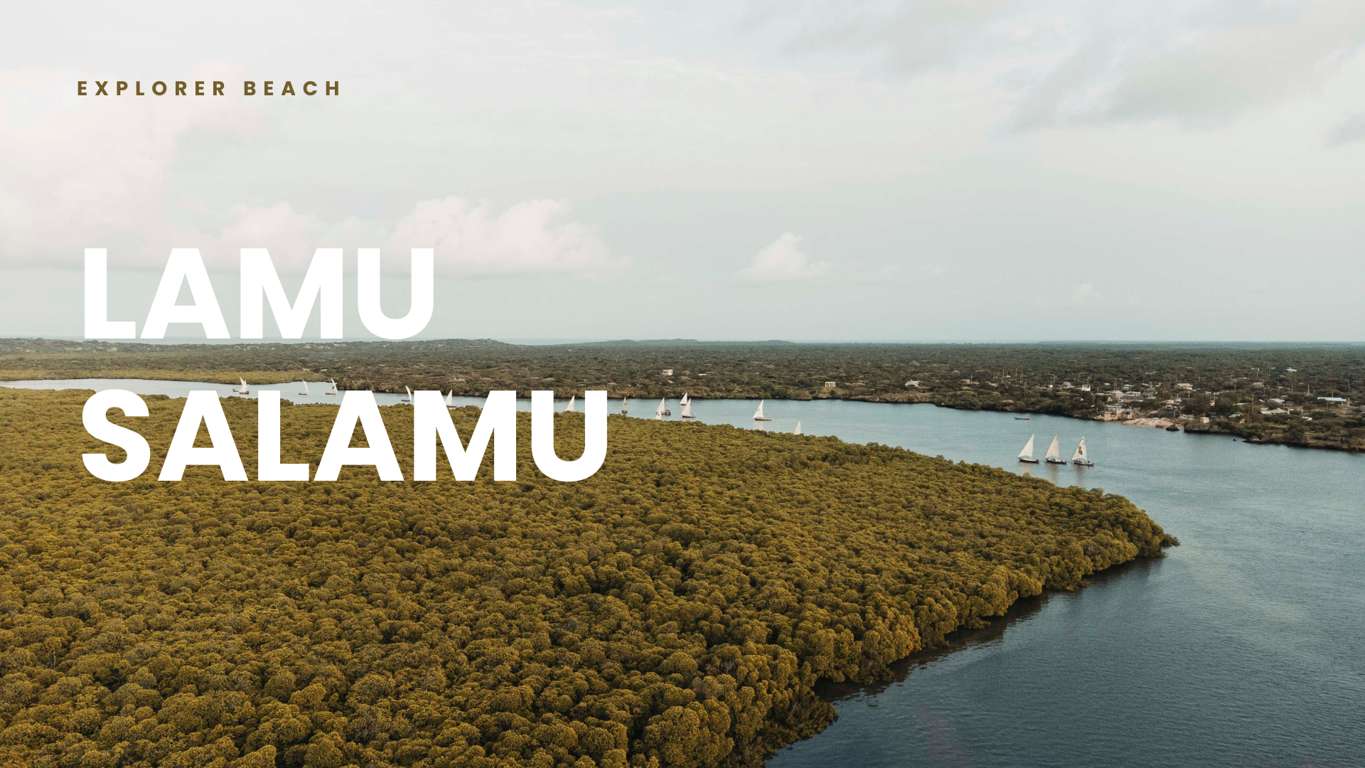 Lamu Salamu