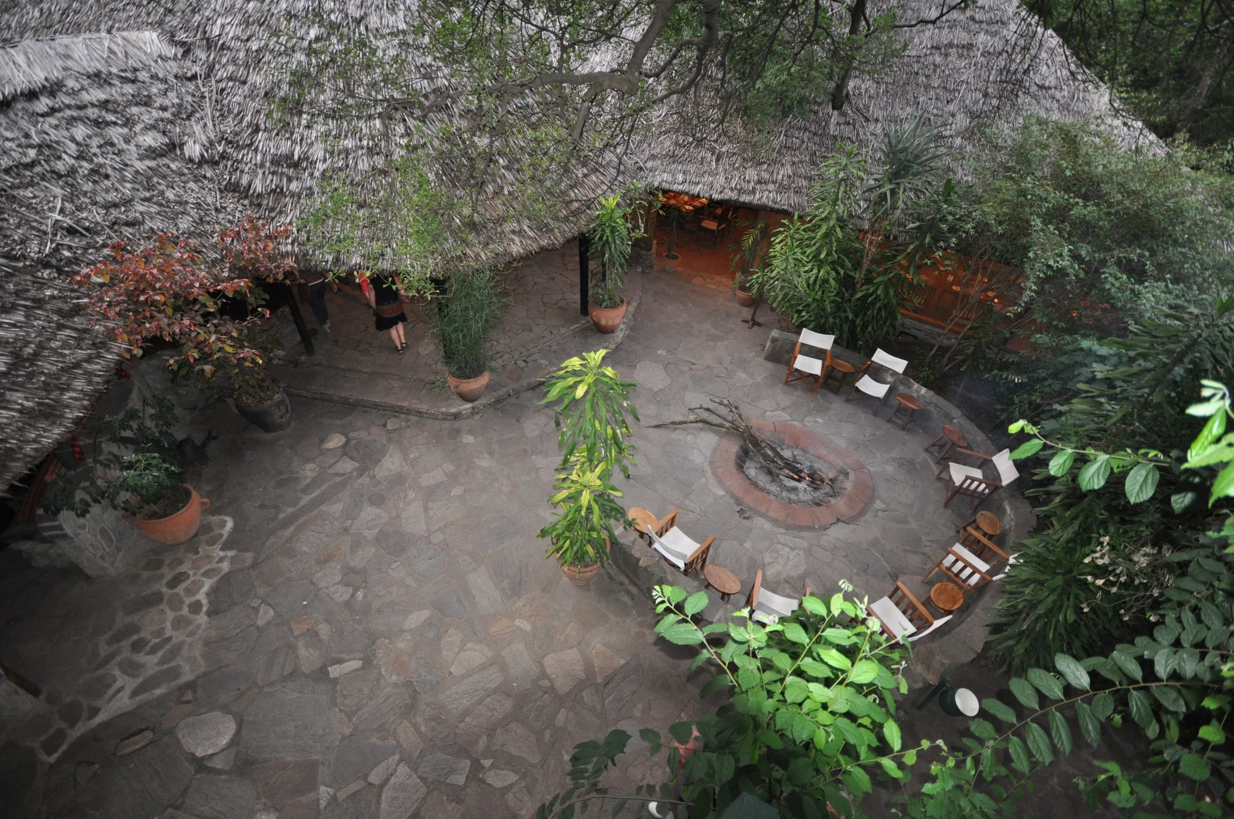 Fig Tree Camp-Masai Mara - 6.JPG