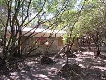 Enchoro Outside 1.jpg