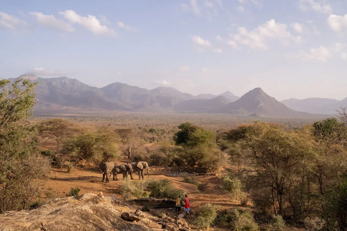 Sarara+Camp+_+View+of+the+waterholek.webp