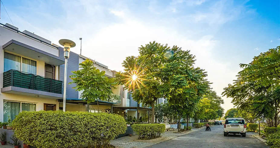 Dreamcity_LudhianaGallery8.jpg