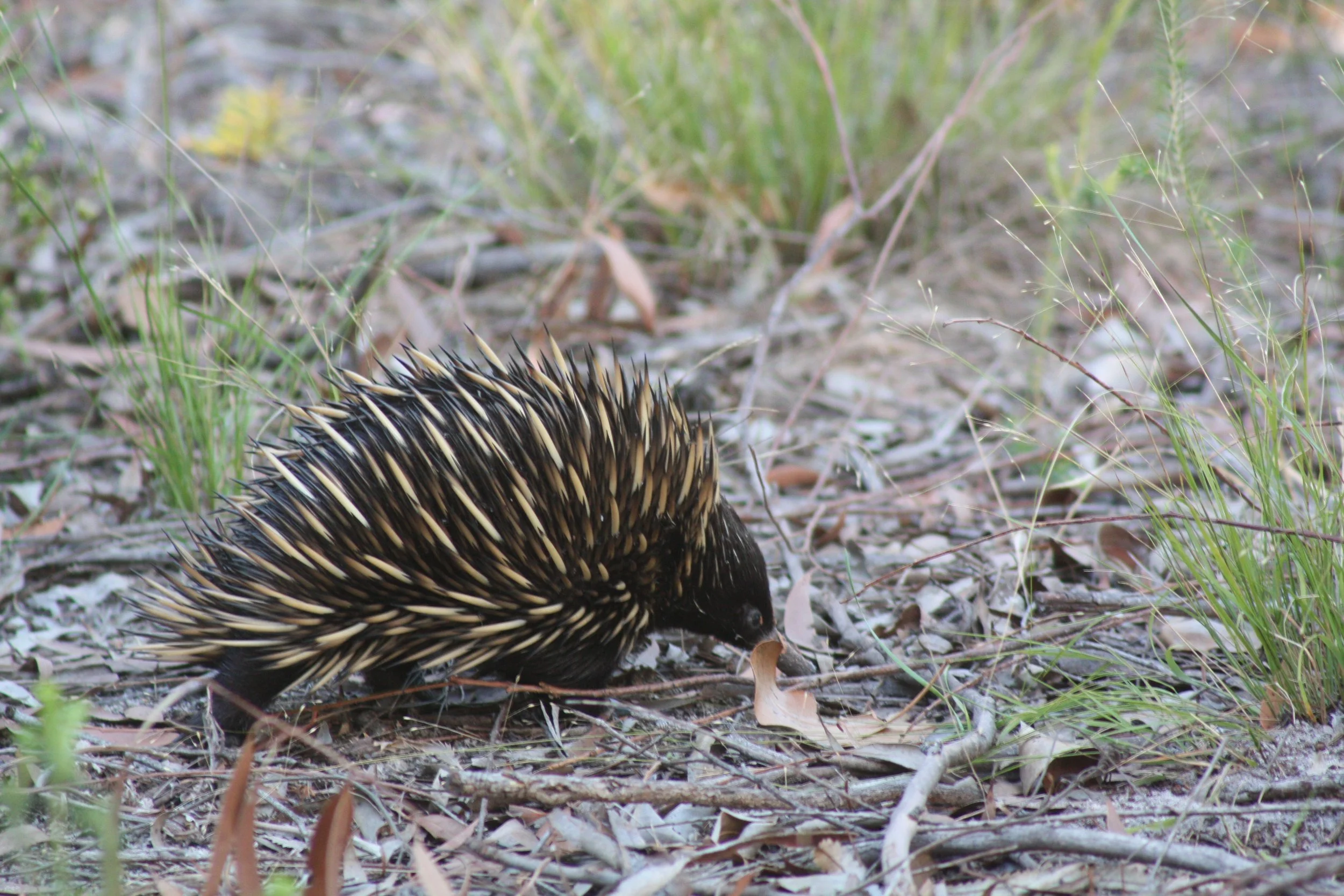 At Ground Level, In Nature — The Quiet Magic of Wauita Retreat