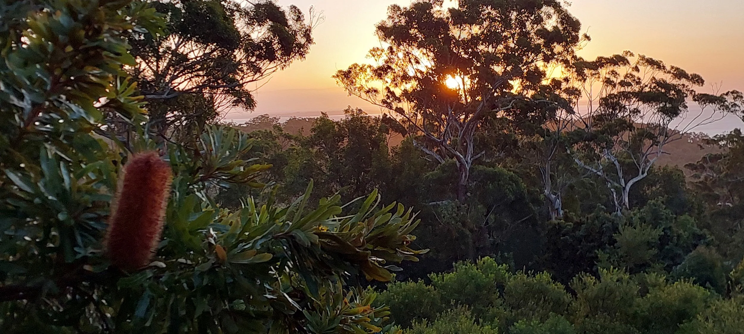 0 waiuta Sunset 2 mar 2026.jpg