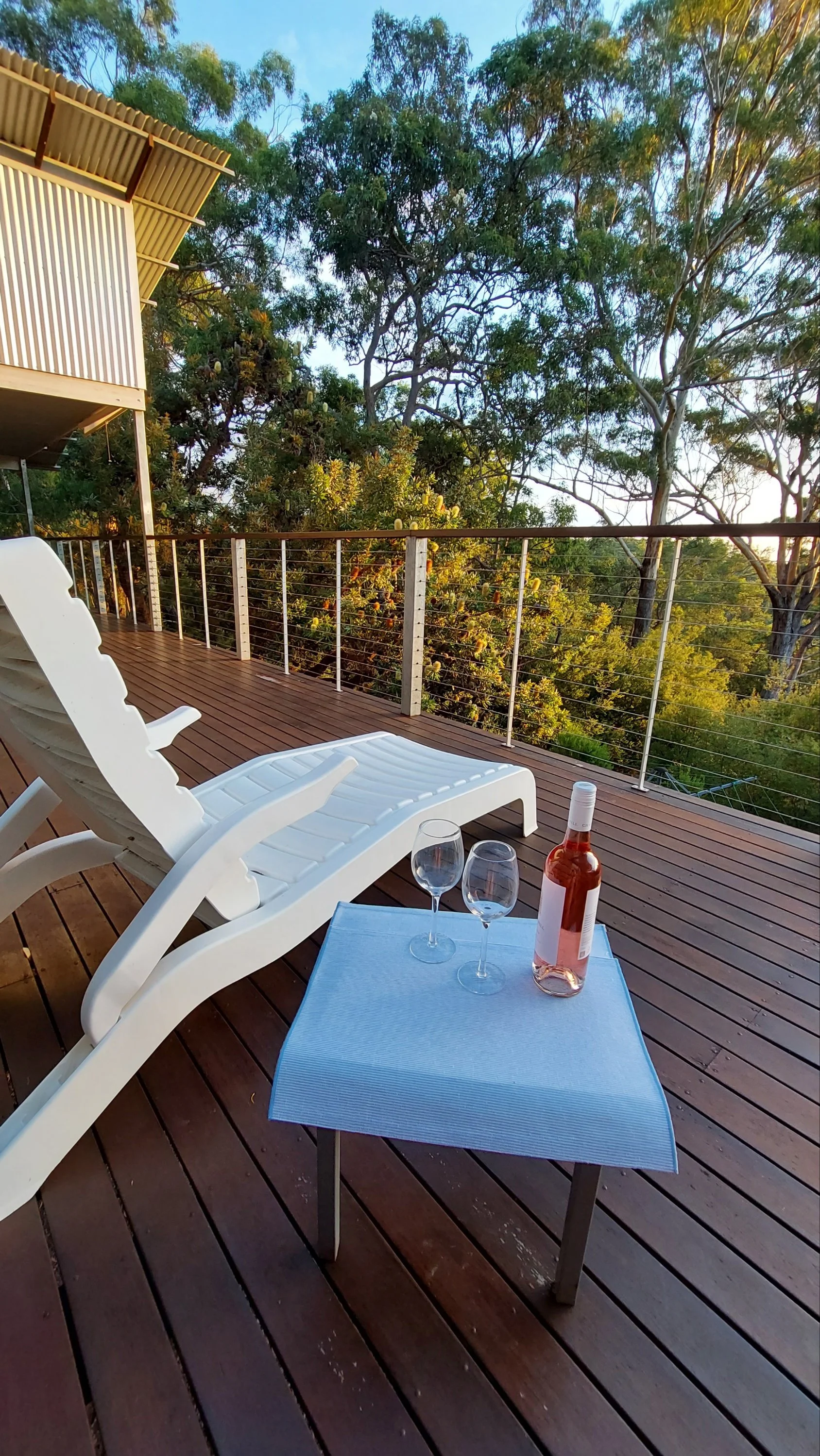 20250219_180606_resized 2.jpg