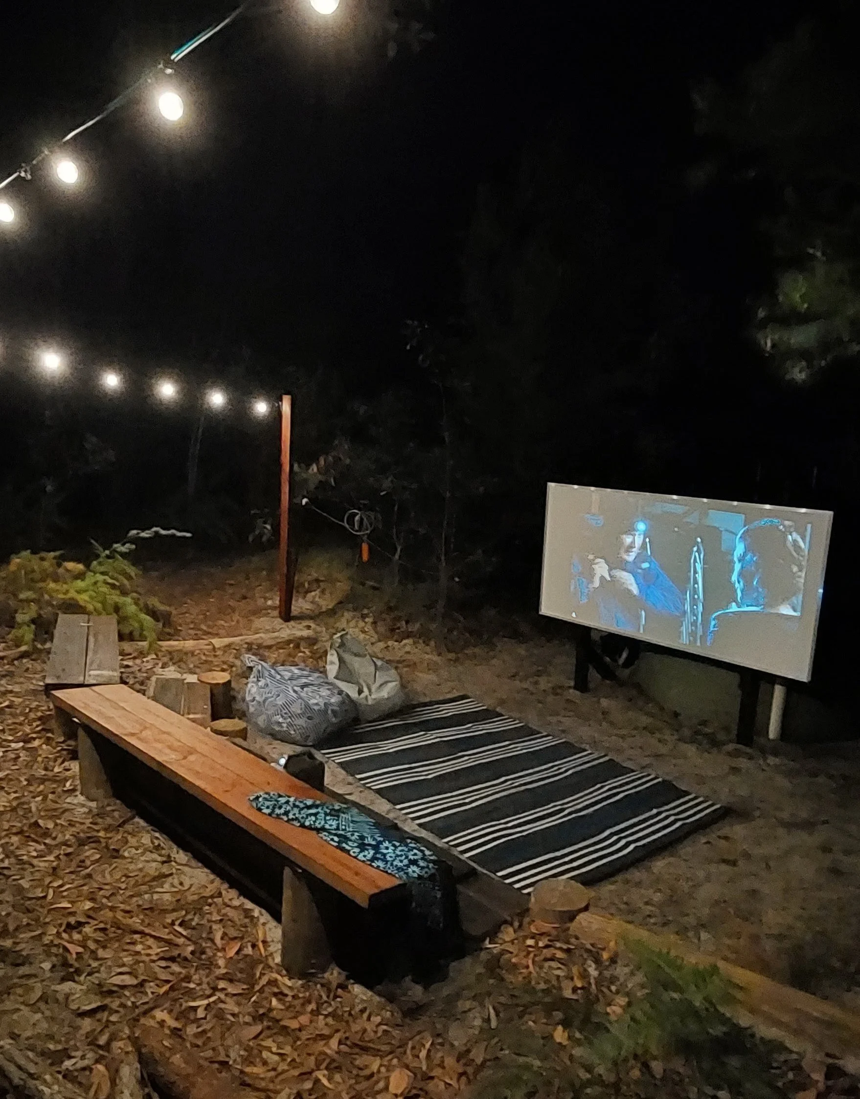Outdoor Movies Under the Stars