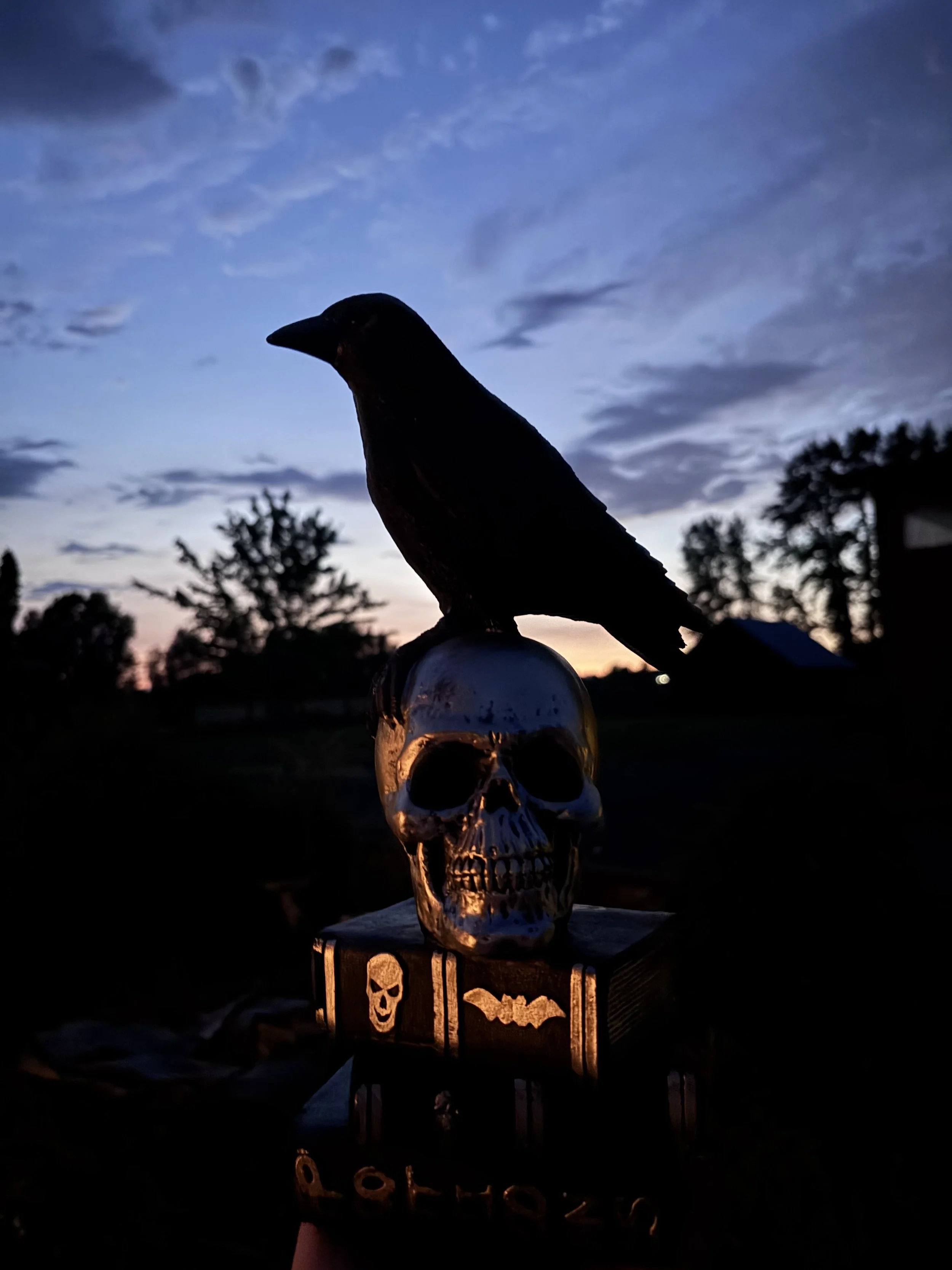 A Raven, sitting on top of a skull, on top of a spooky book
