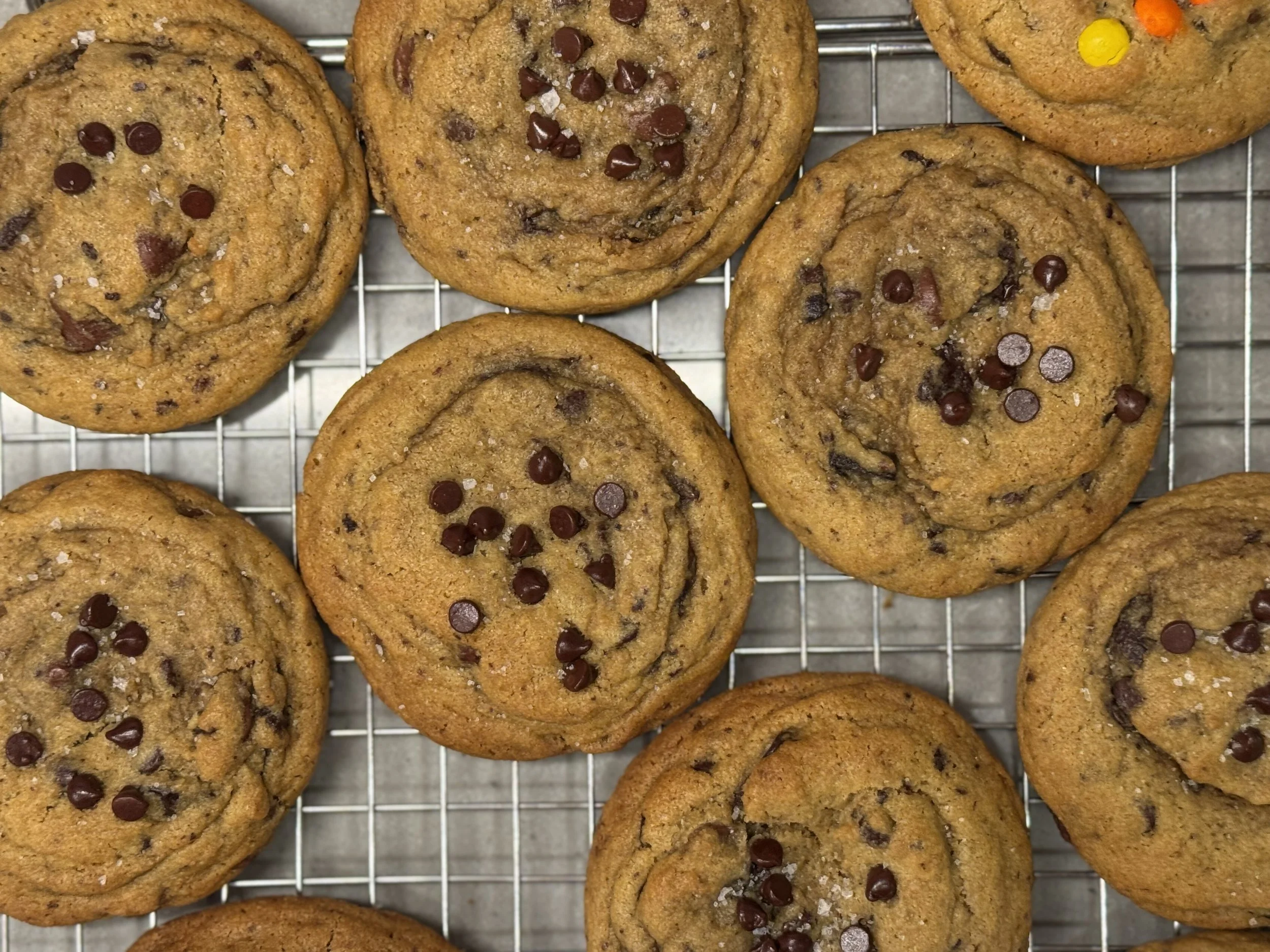 IMG_1087.jpeg (Copy)