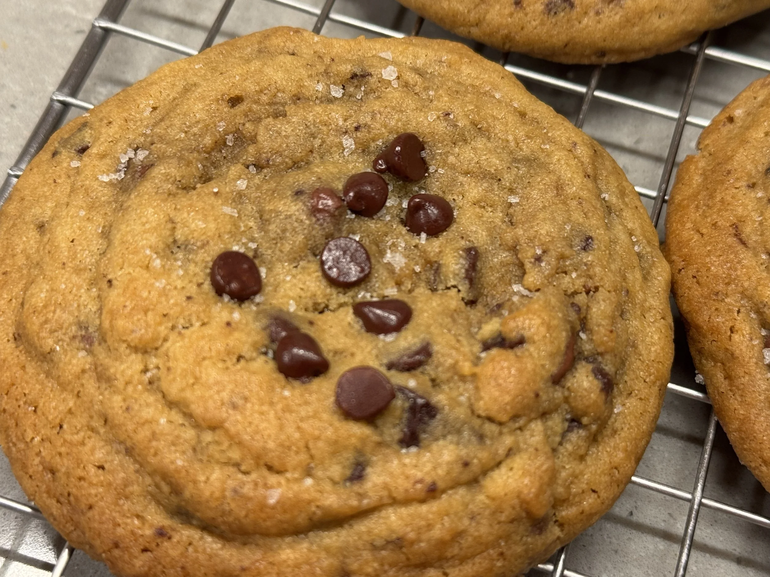 IMG_1088.jpeg (Copy)