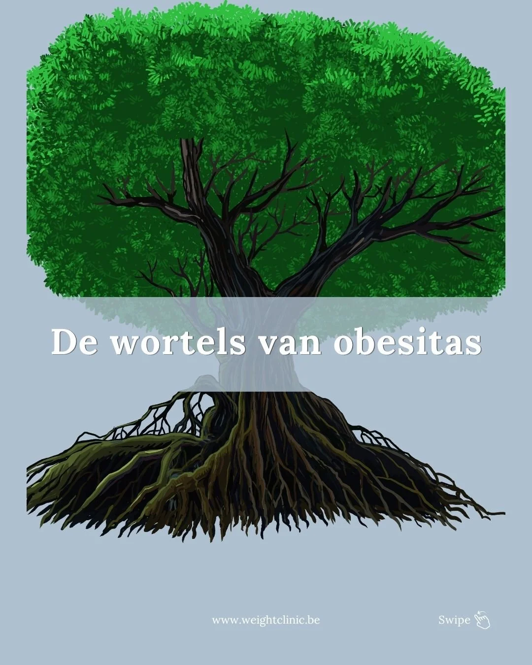 Obesitas is m&eacute;&eacute;r dan wilskracht. Het zit ook in je genen. Wetenschappelijk onderzoek toont aan dat genetica 40% tot 70% van je kans op obesitas bepaalt.

Dat betekent:
✔️ Je lichaam kan energie anders opslaan.
✔️ Twee mensen kunnen exac