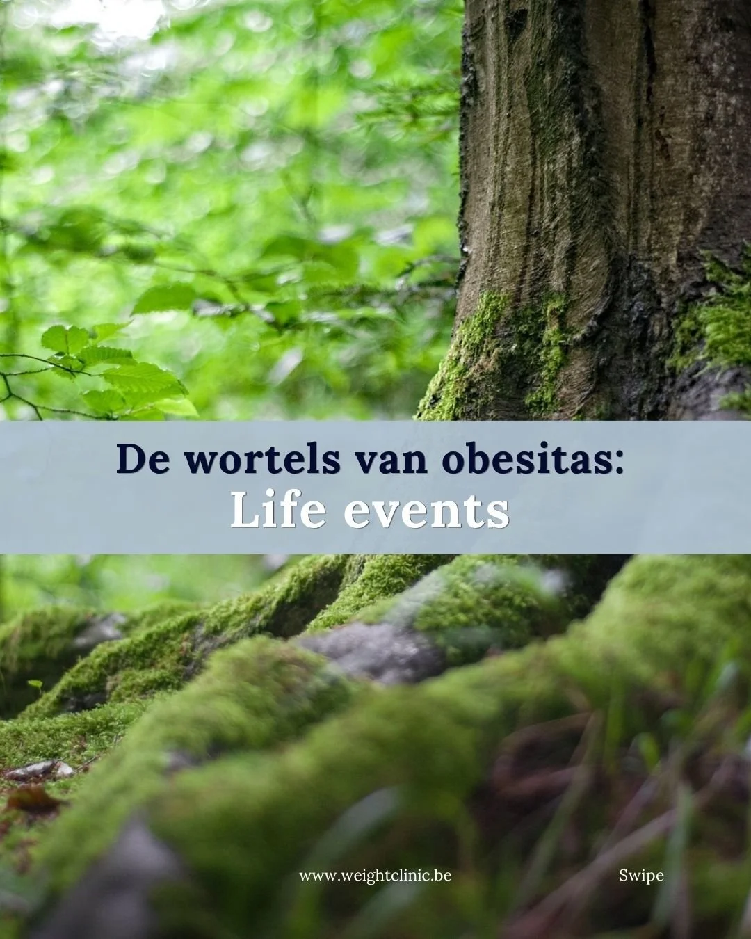 Wist jij dat bepaalde gebeurtenissen een invloed kunnen hebben op mensen hun gewicht? 

Voor al je vragen over onze begeleidingen kan je terecht op weightclinic@ziekenhuiswaregem.be 

🍏

#mythes #obesitasmythes #ontstaanobesitas #obesitas #maagverkl