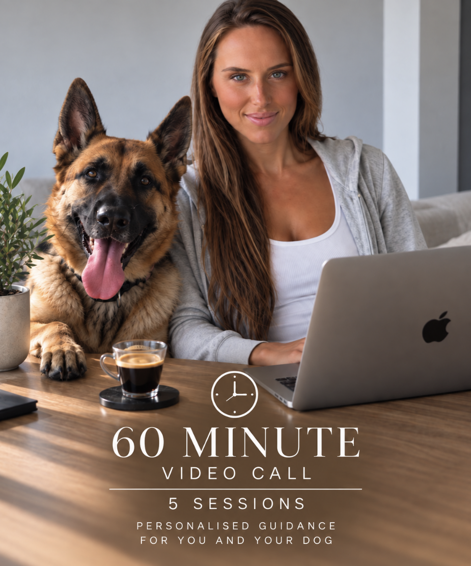 5-Session Online Dog Training Package