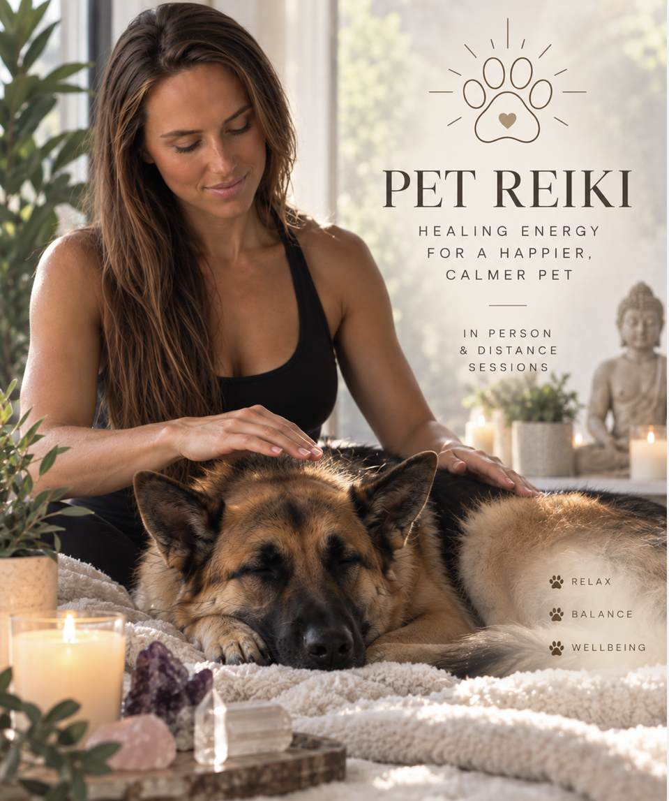 In-Person Pet Reiki & Crystal Healing