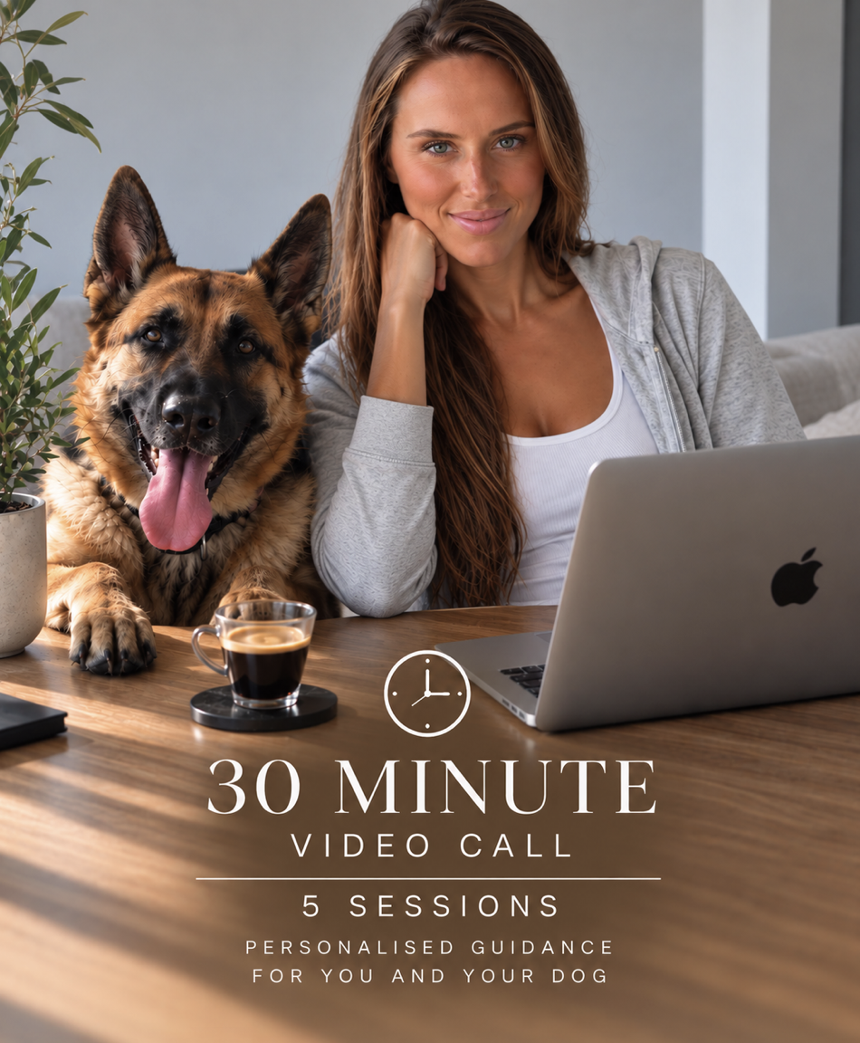 Dog Training Online Package ( 5 sessions of 30 minutes)