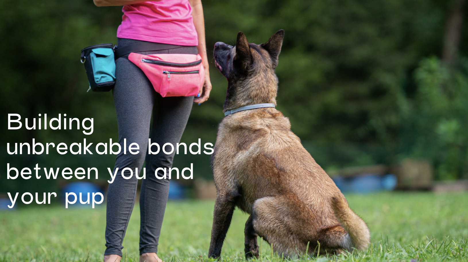 Advanced Dog Training