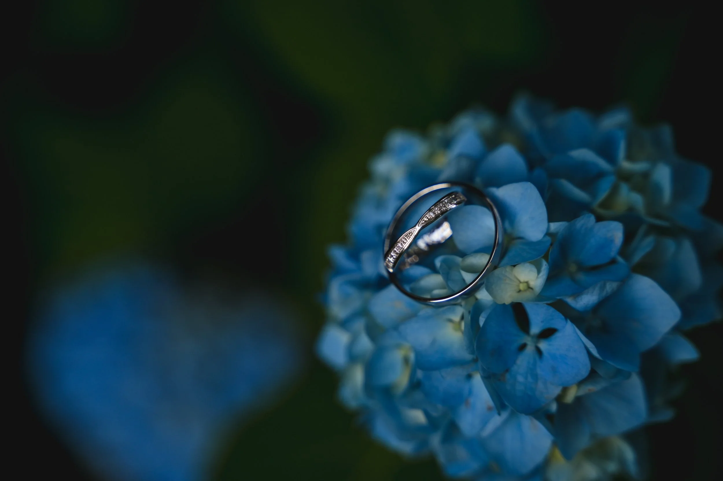 svatební fotograf Plzeň detailové fotky.jpg