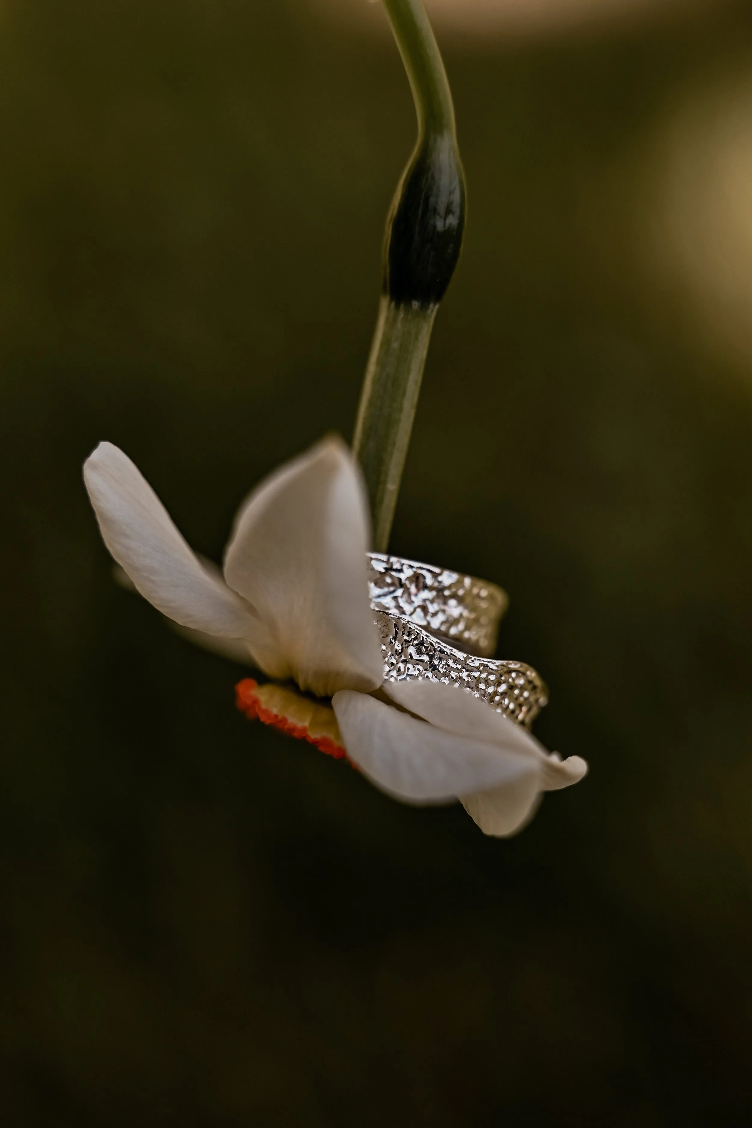 Kolik stojí svatební fotograf? Jak se vyznat v cenách svatebního focení