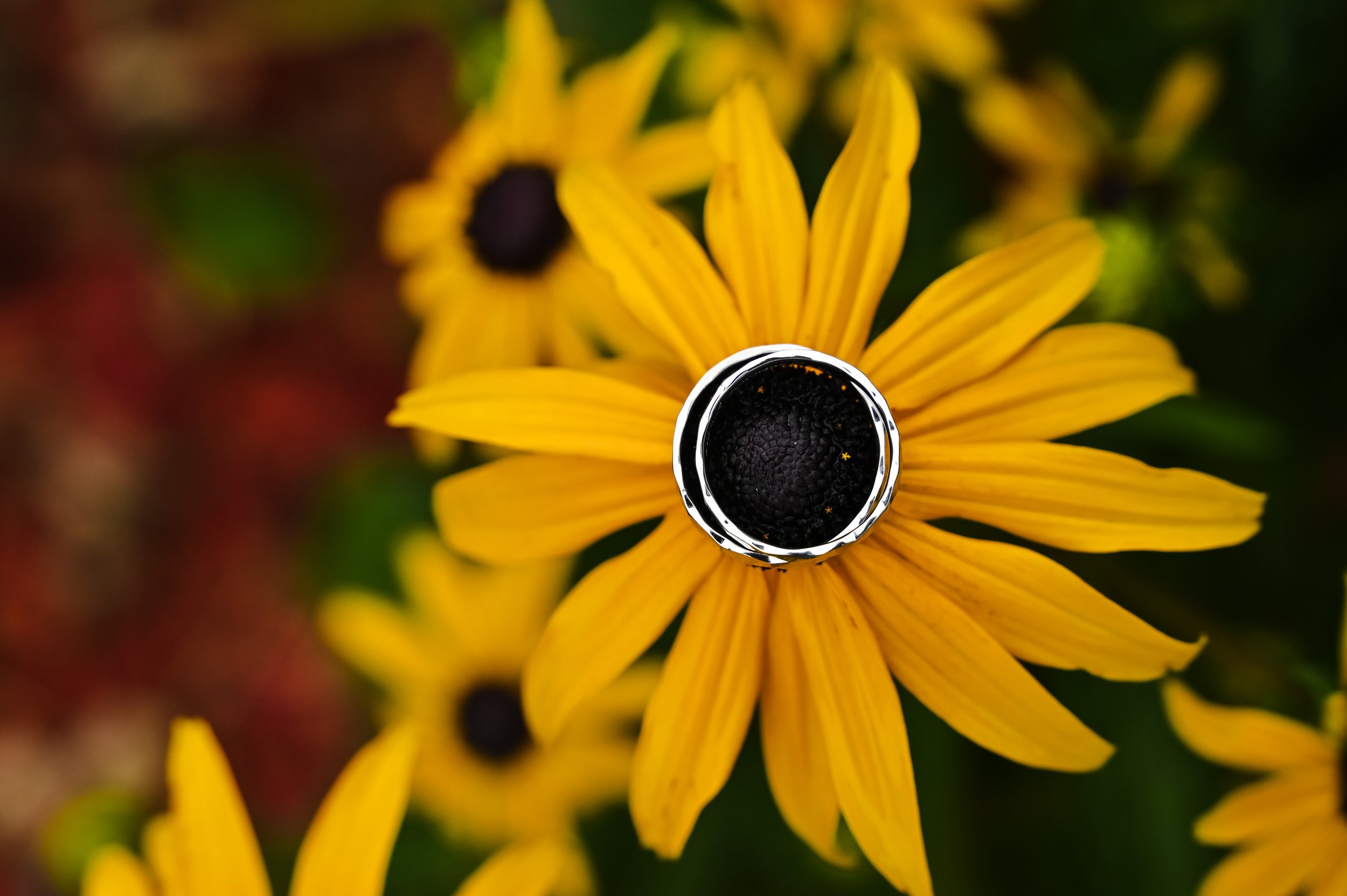 DSC_4301u.jpg