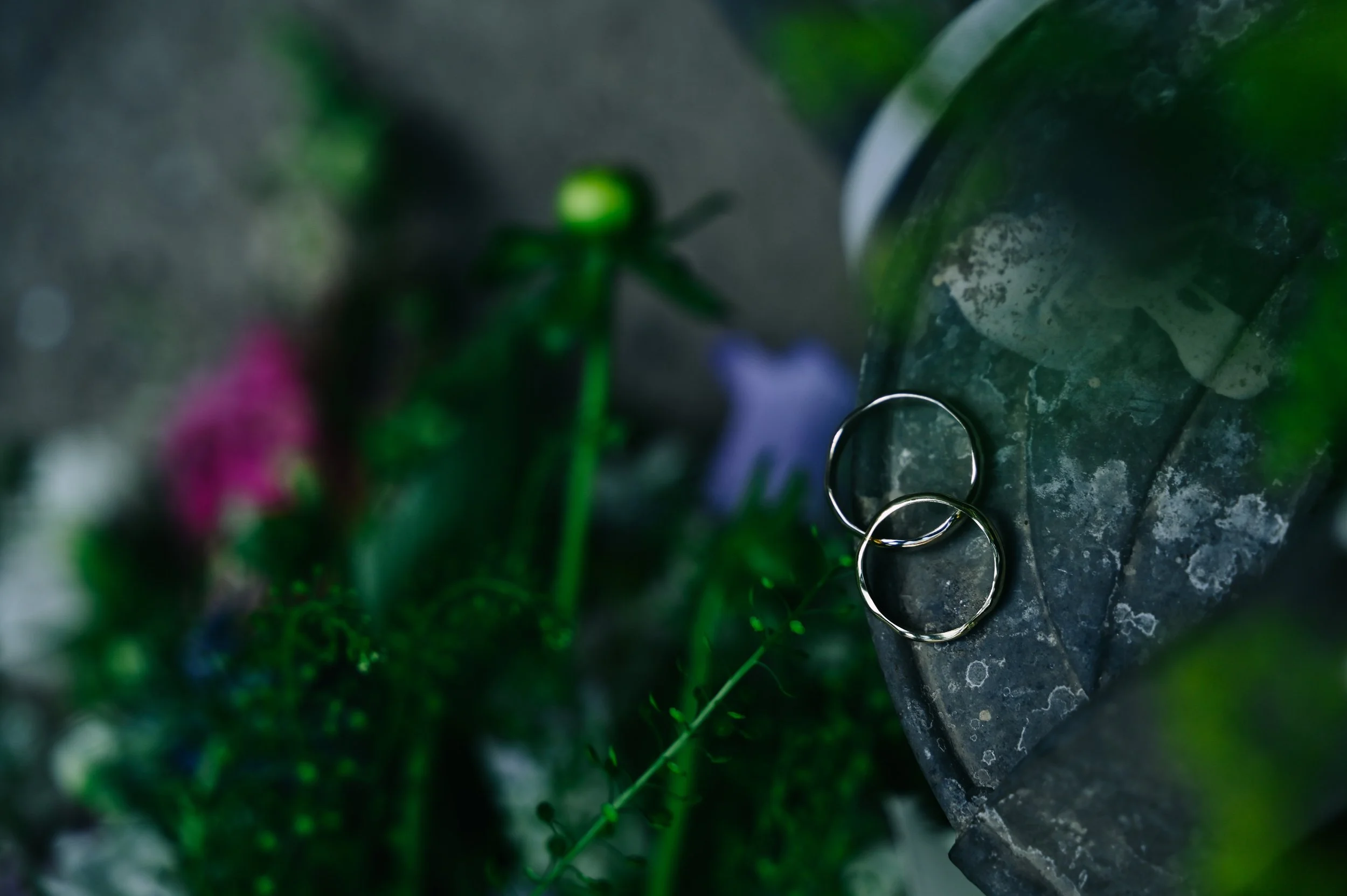 Silver wedding rings resting on a dark, textured stone surface, with blurred greenery and small flowers in the background.