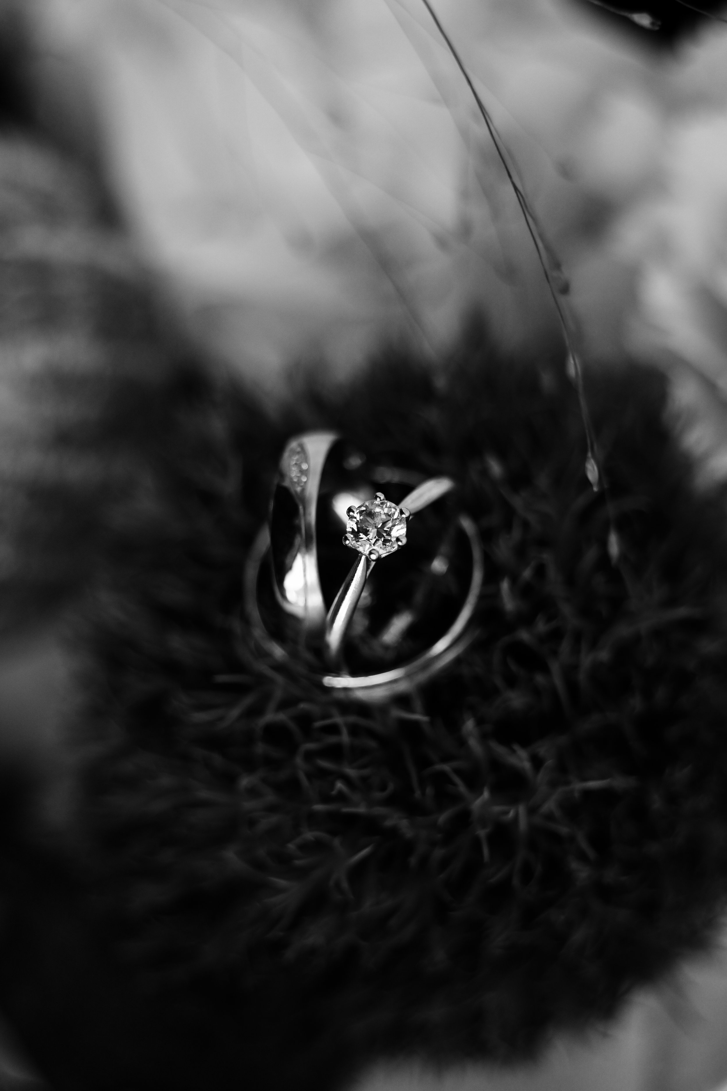 DSC_8257u.jpg