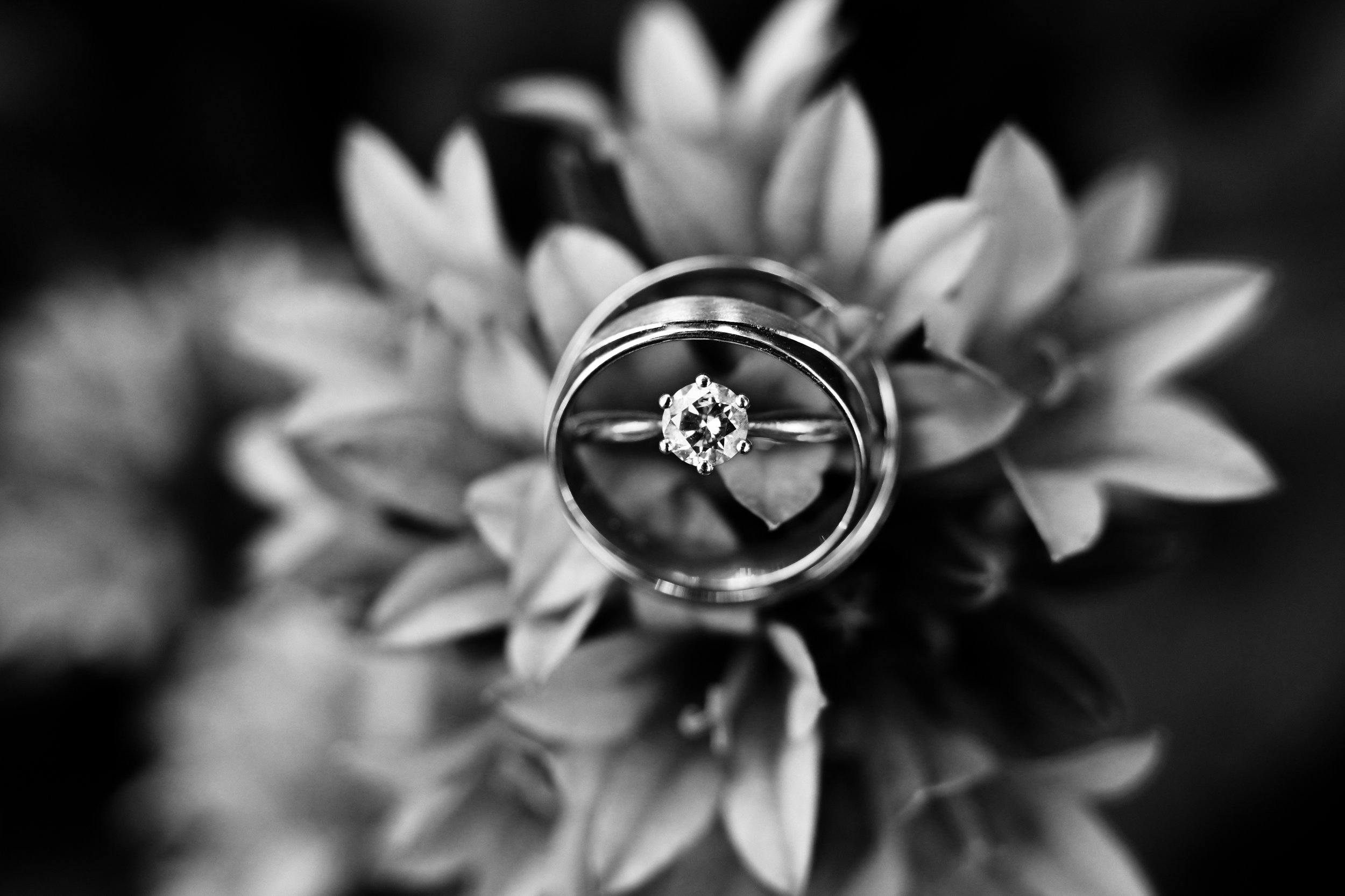 DSC_8190u.jpg