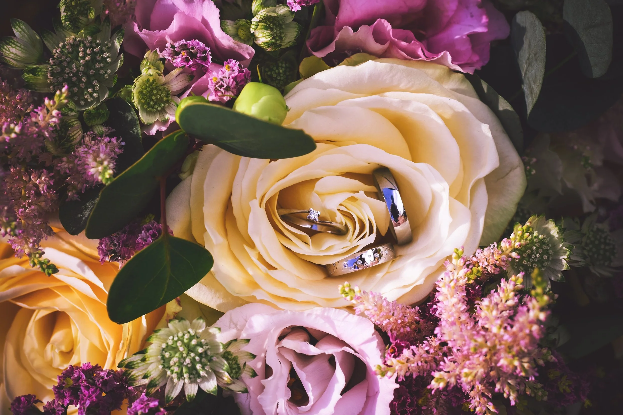 Detailní záběr na snubní prsteny uvnitř bílé růže obklopené fialovými a růžovými květy a zelenými listy.