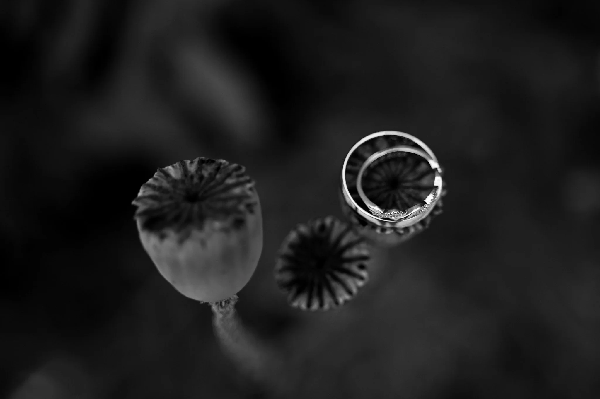 Detail svatebních prstýnků během svatebního obřadu v Jihočeském kraji