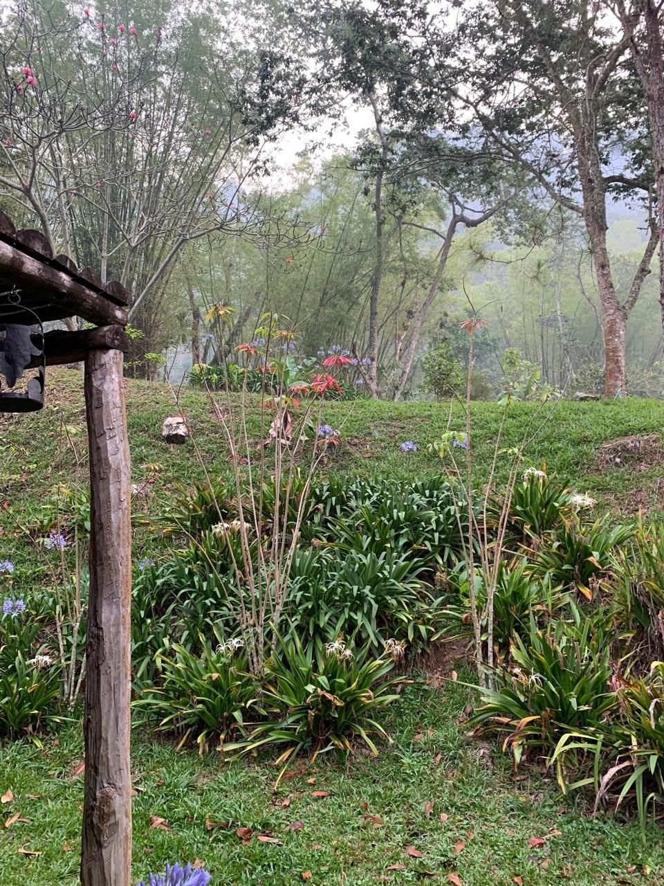 WhatsApp Image 2025-04-02 at 16.59.34.jpeg