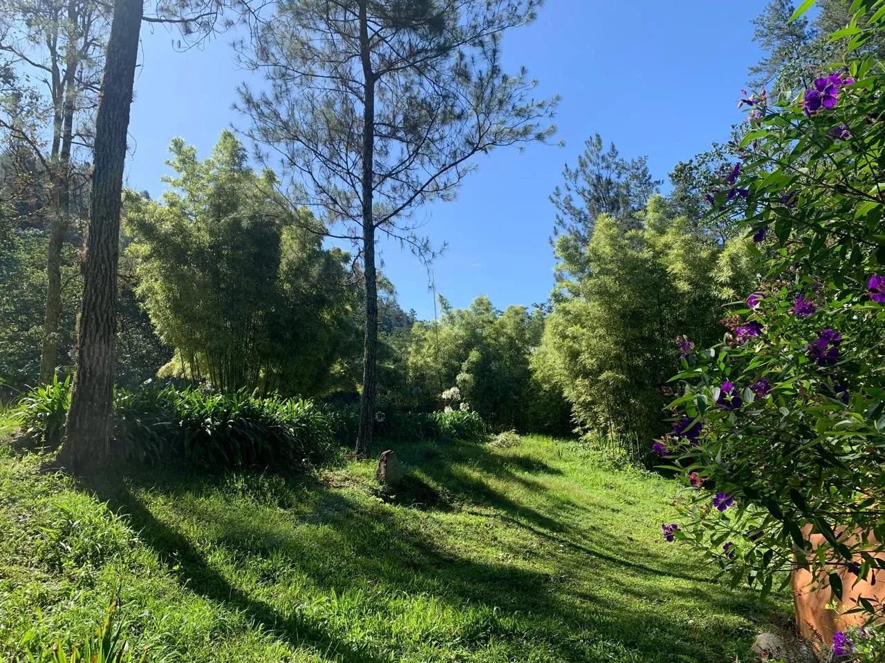 WhatsApp Image 2025-04-02 at 16.59.33 (2).jpeg