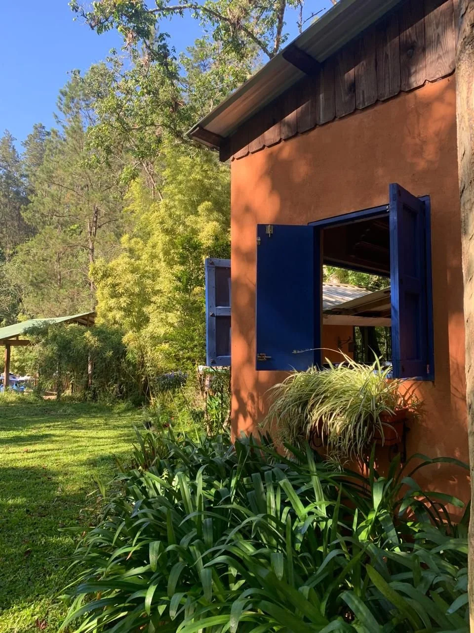 WhatsApp Image 2025-04-02 at 16.59.33 (1).jpeg