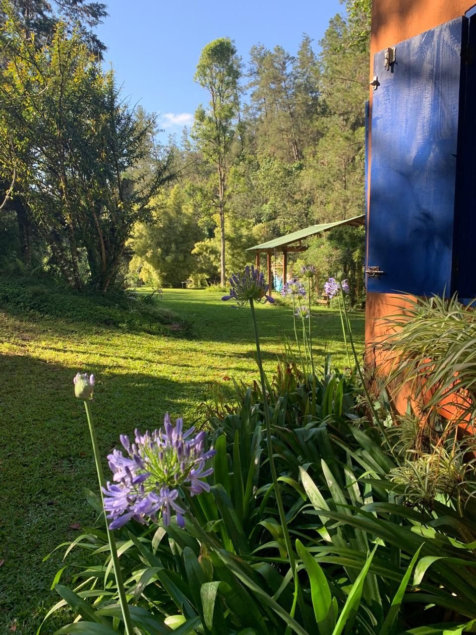 WhatsApp Image 2025-04-02 at 16.59.32.jpeg