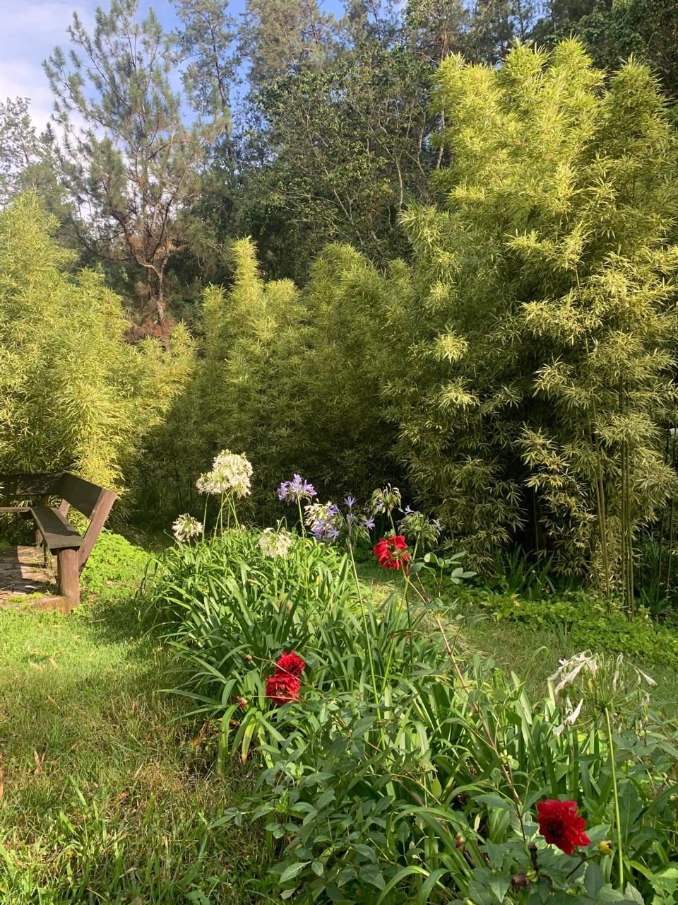 WhatsApp Image 2025-04-02 at 16.59.31 (2).jpeg