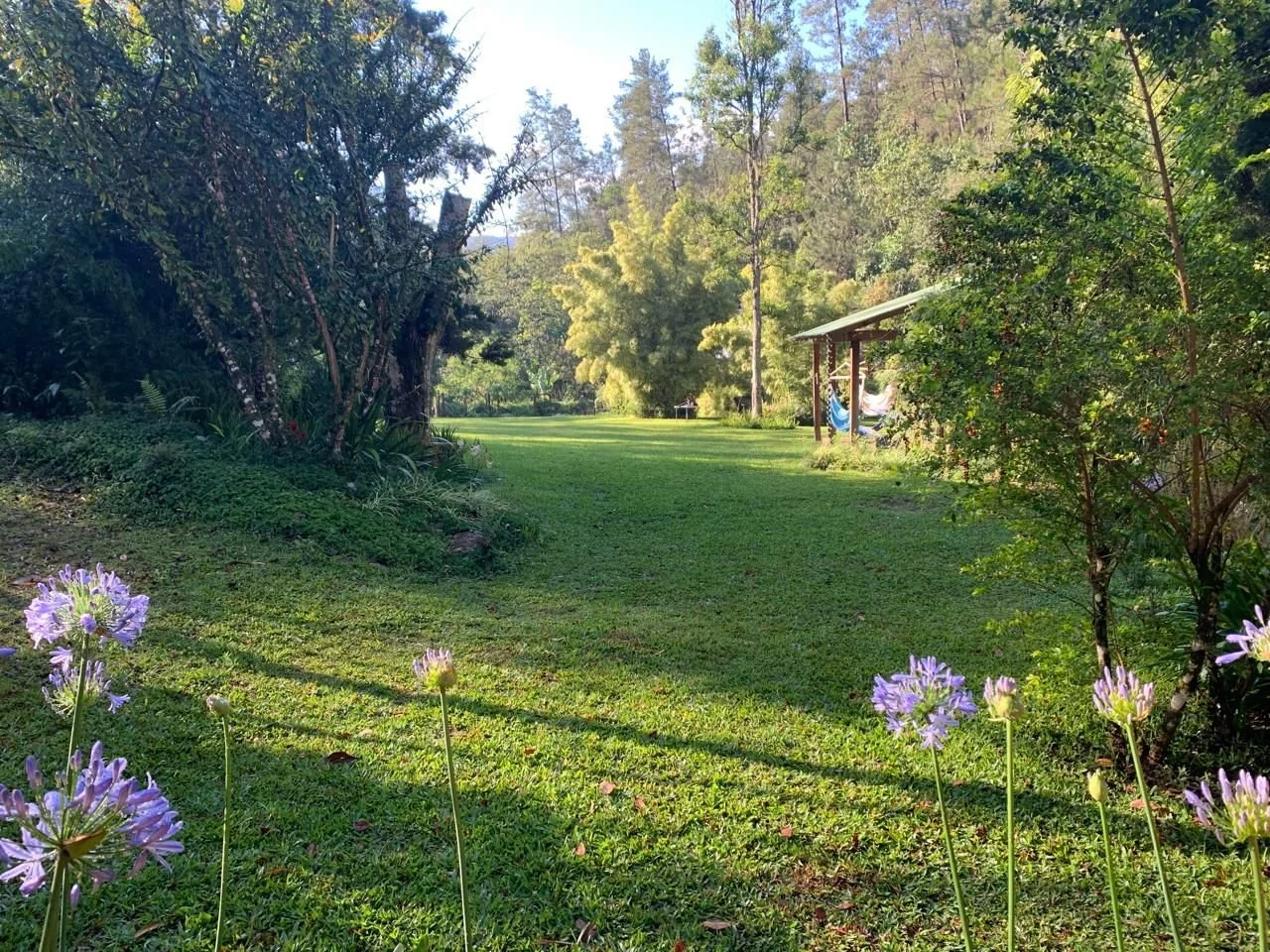 WhatsApp Image 2025-04-02 at 16.59.30 (4).jpeg