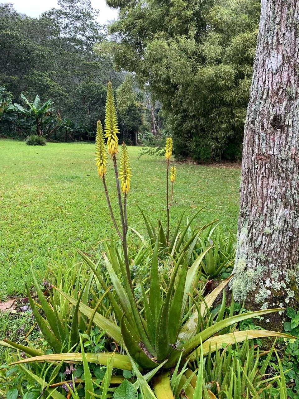 WhatsApp Image 2025-04-02 at 16.59.30 (3).jpeg