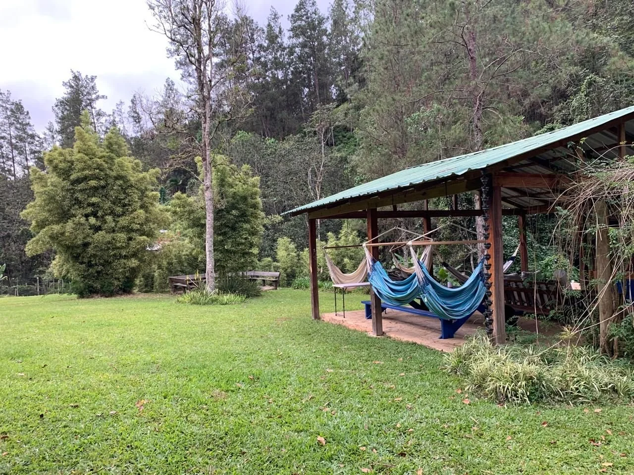 WhatsApp Image 2025-04-02 at 16.59.30 (1).jpeg