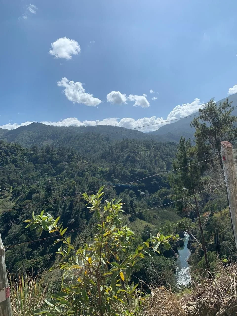 WhatsApp Image 2025-04-02 at 16.59.29 (3).jpeg