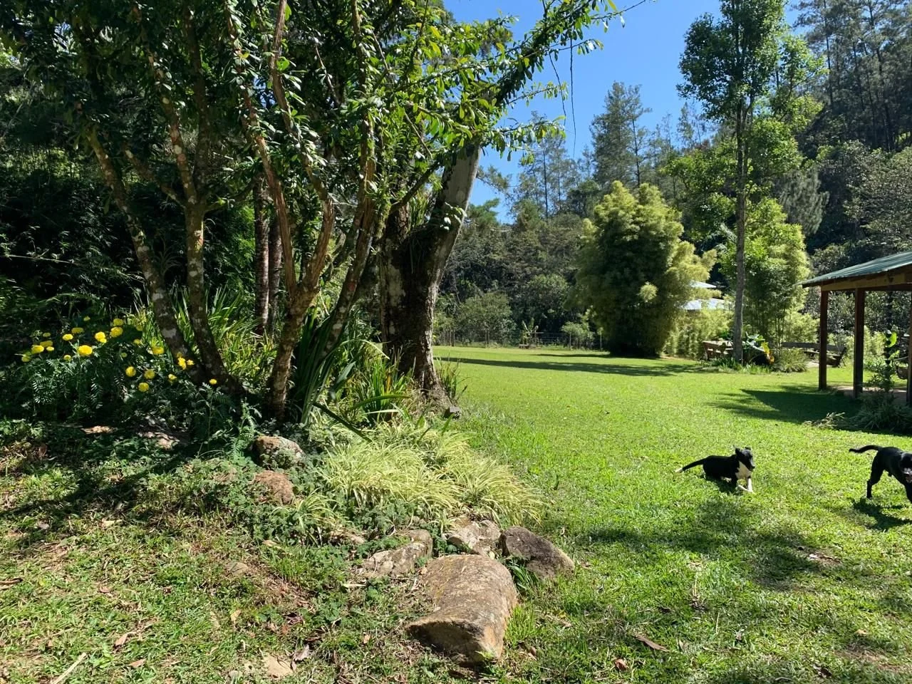 WhatsApp Image 2025-04-02 at 16.59.29 (2).jpeg