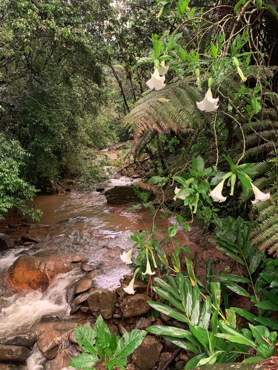 WhatsApp Image 2025-04-02 at 16.59.28.jpeg